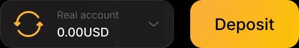 Deposit icon